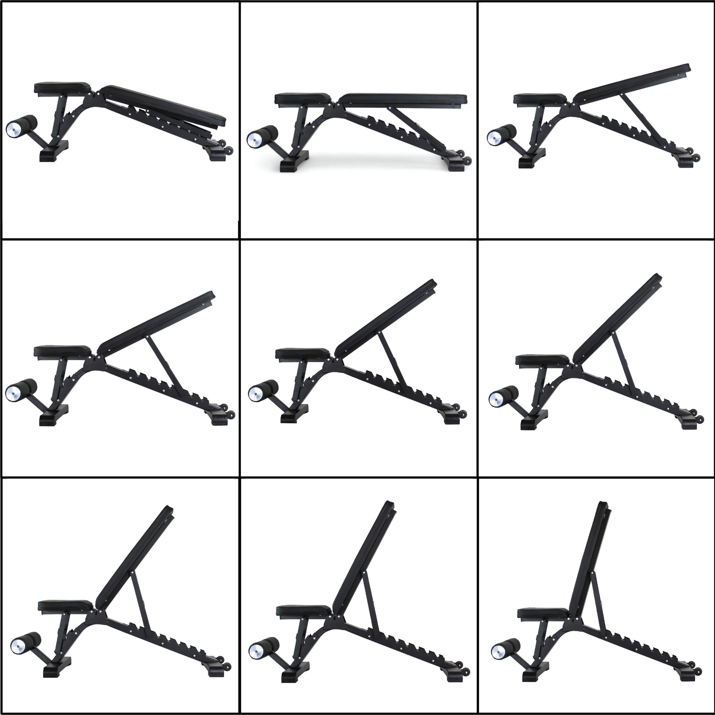 Adjustable Bench Panther FID
