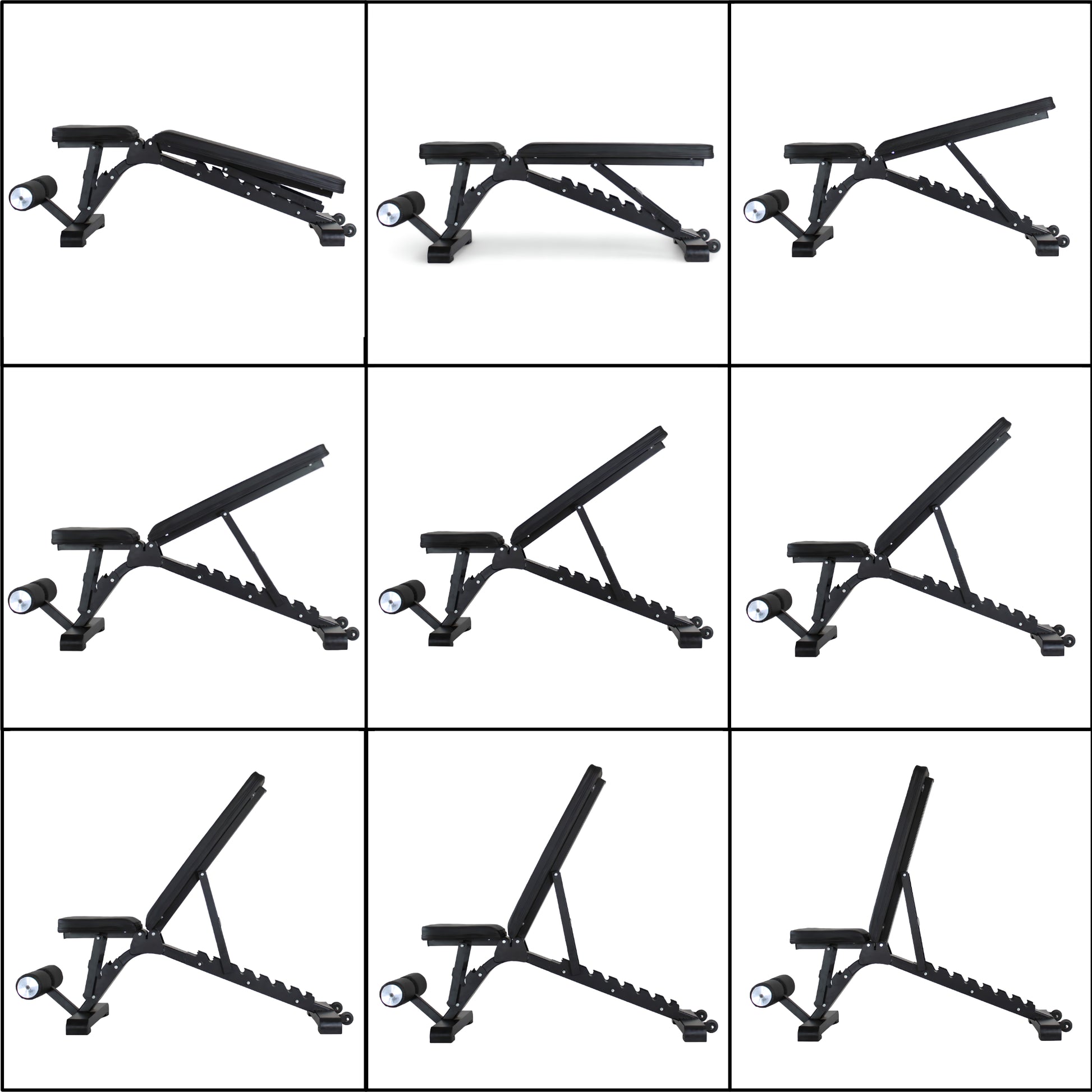 Adjustable Bench Panther FID