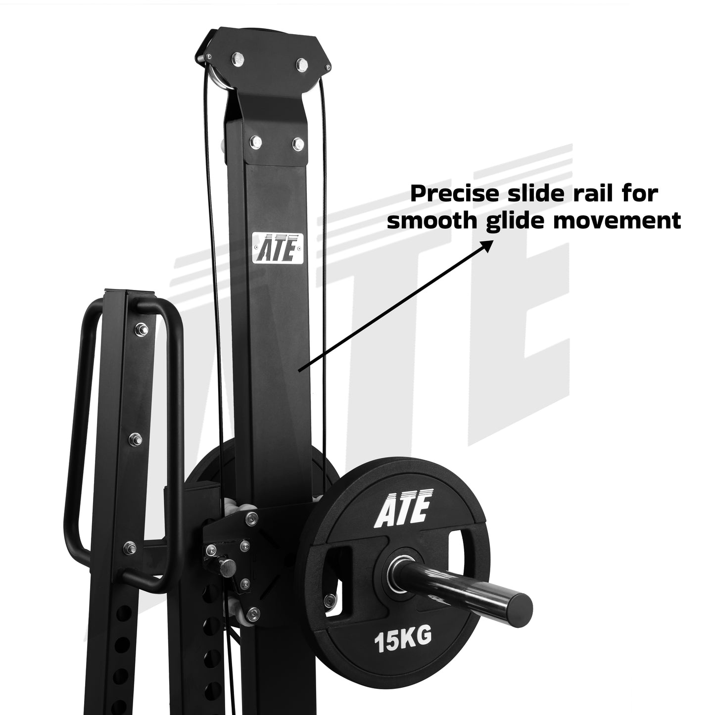 Belt Squat Linear Guided