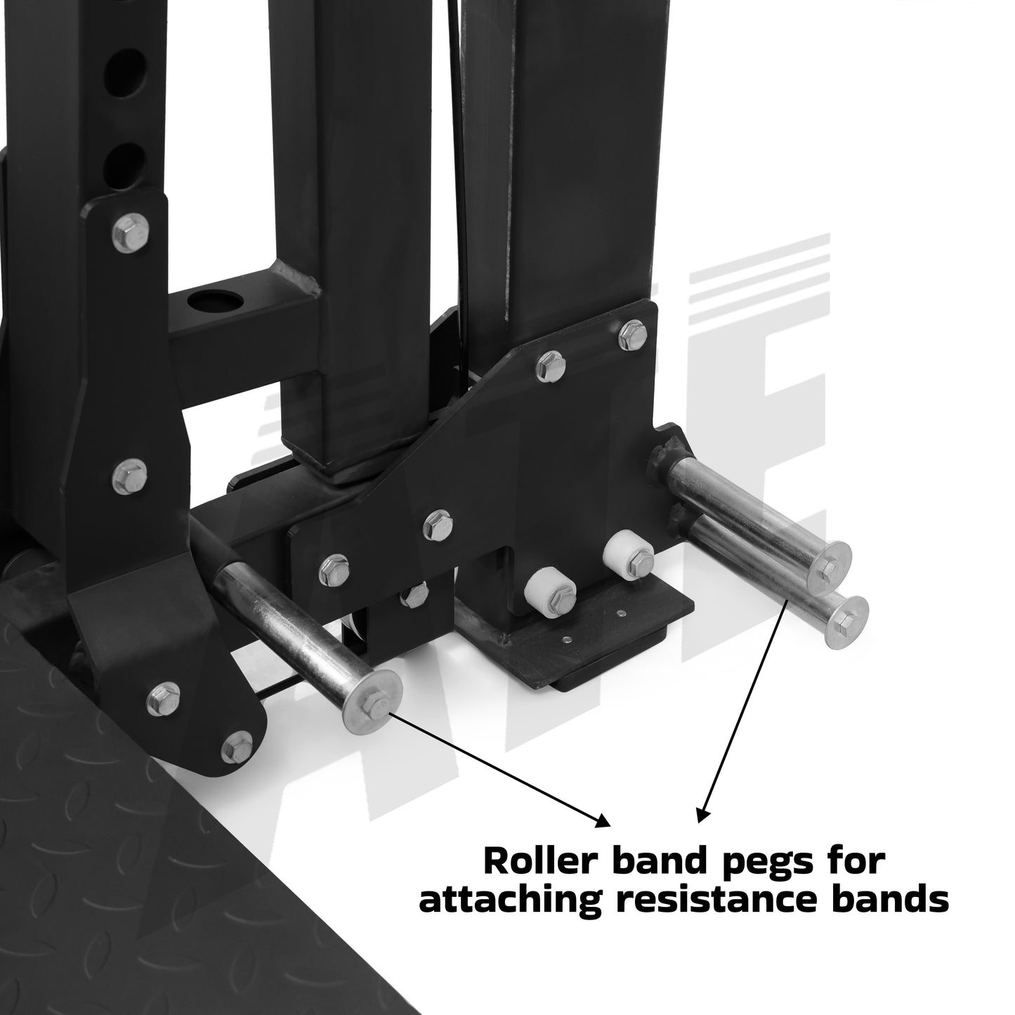 Belt Squat Linear Guided