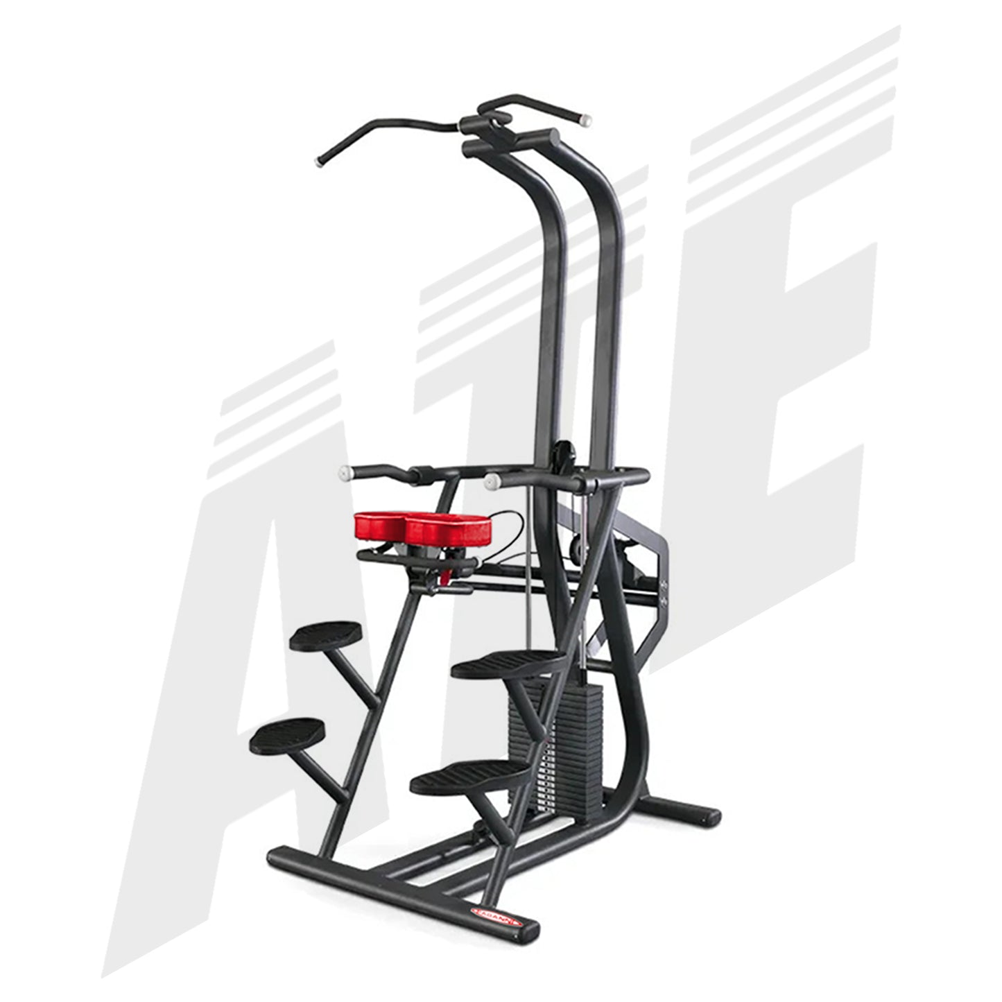 Chin and Dip Counterbalanced