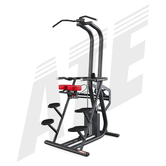 Chin and Dip Counterbalanced
