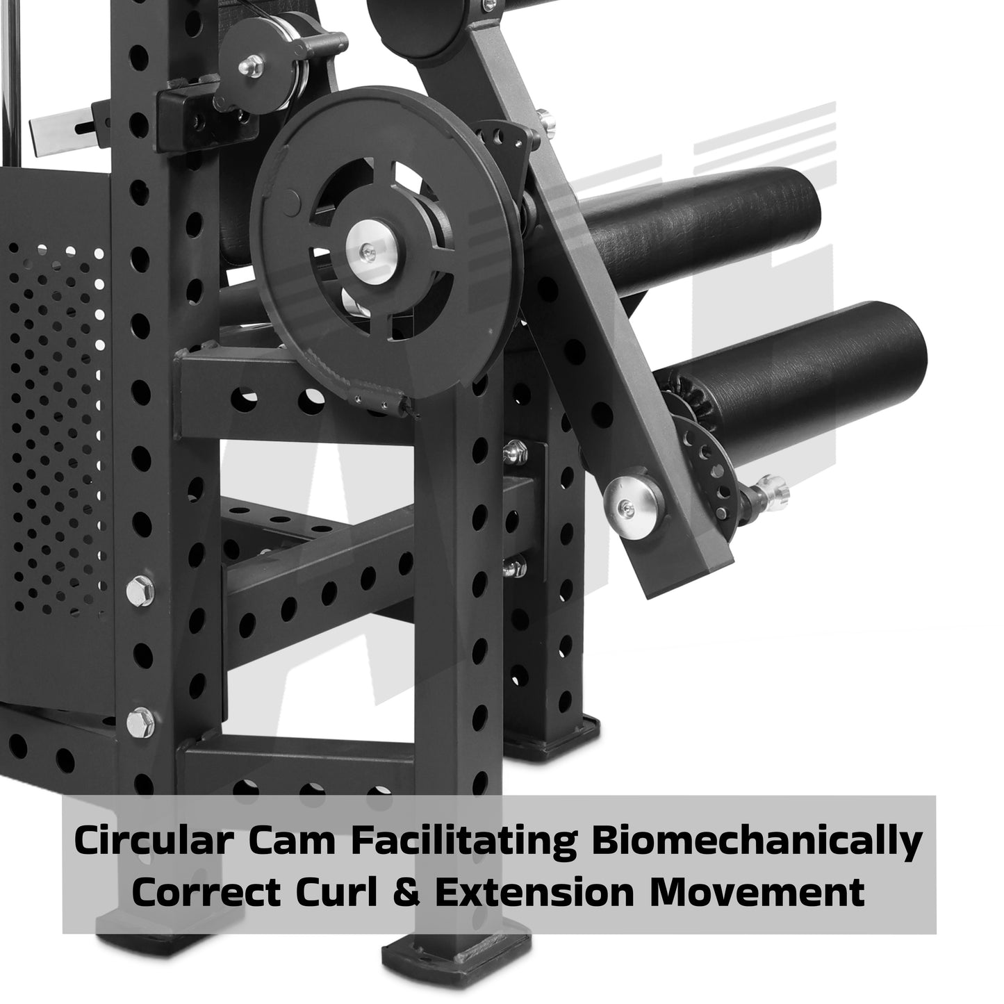 Leg Curl Extension Combo