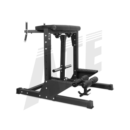 Reverse Hyperextension Machine