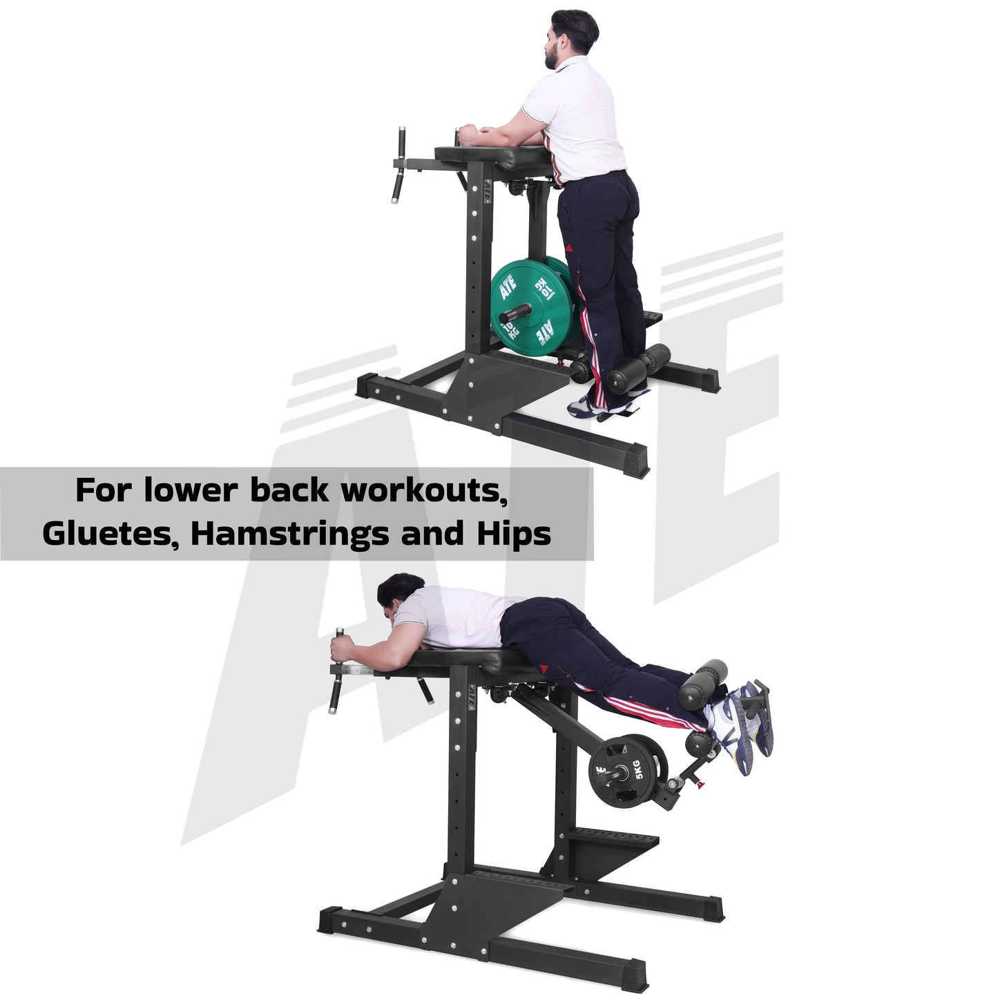Reverse Hyperextension Machine