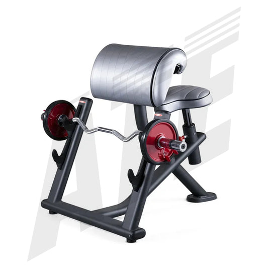 Preacher Curl Bench