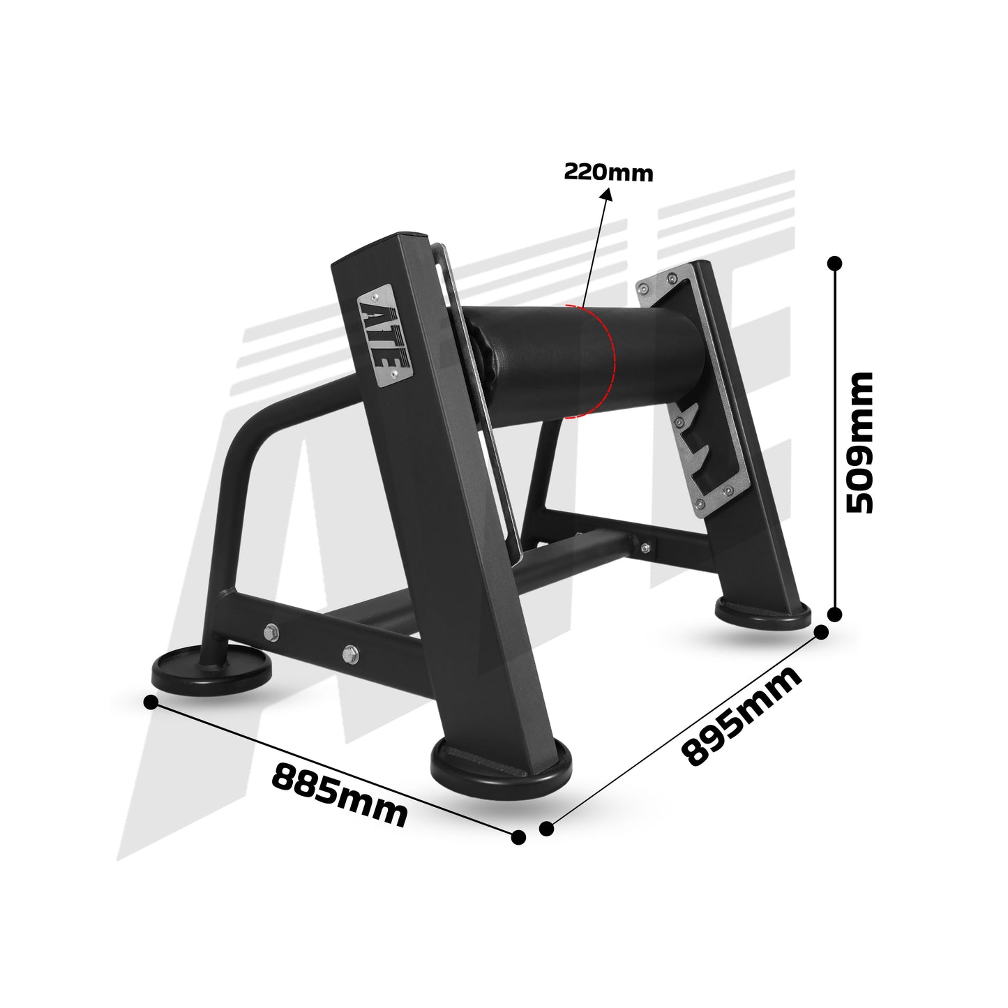 Bulgarian Split Squat Stand