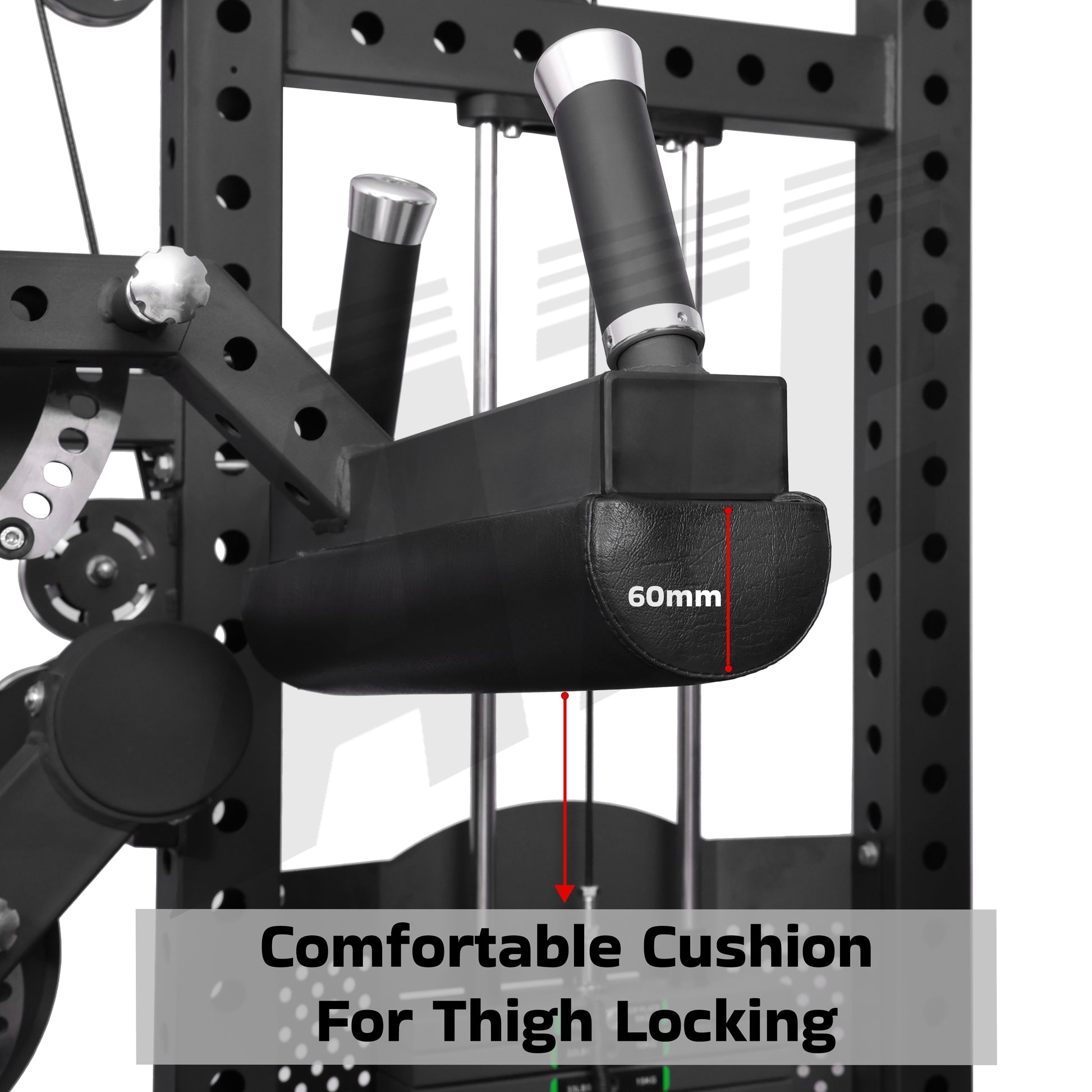Leg Curl Extension Combo