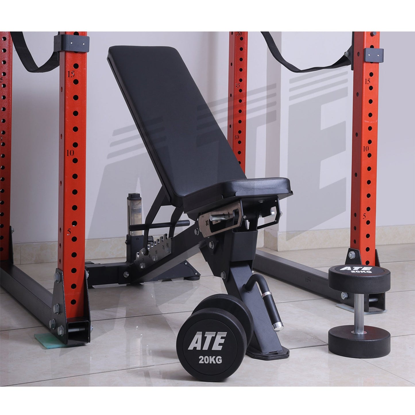 Dumbbells TPU Round Urethane - ATEONLINESHOP