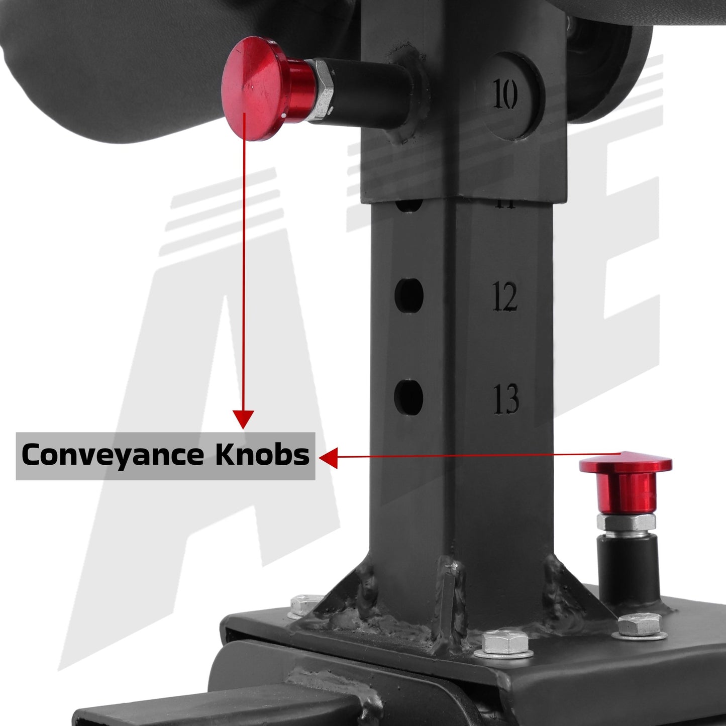 GHD (Glute Ham Developer) - ATEONLINESHOP