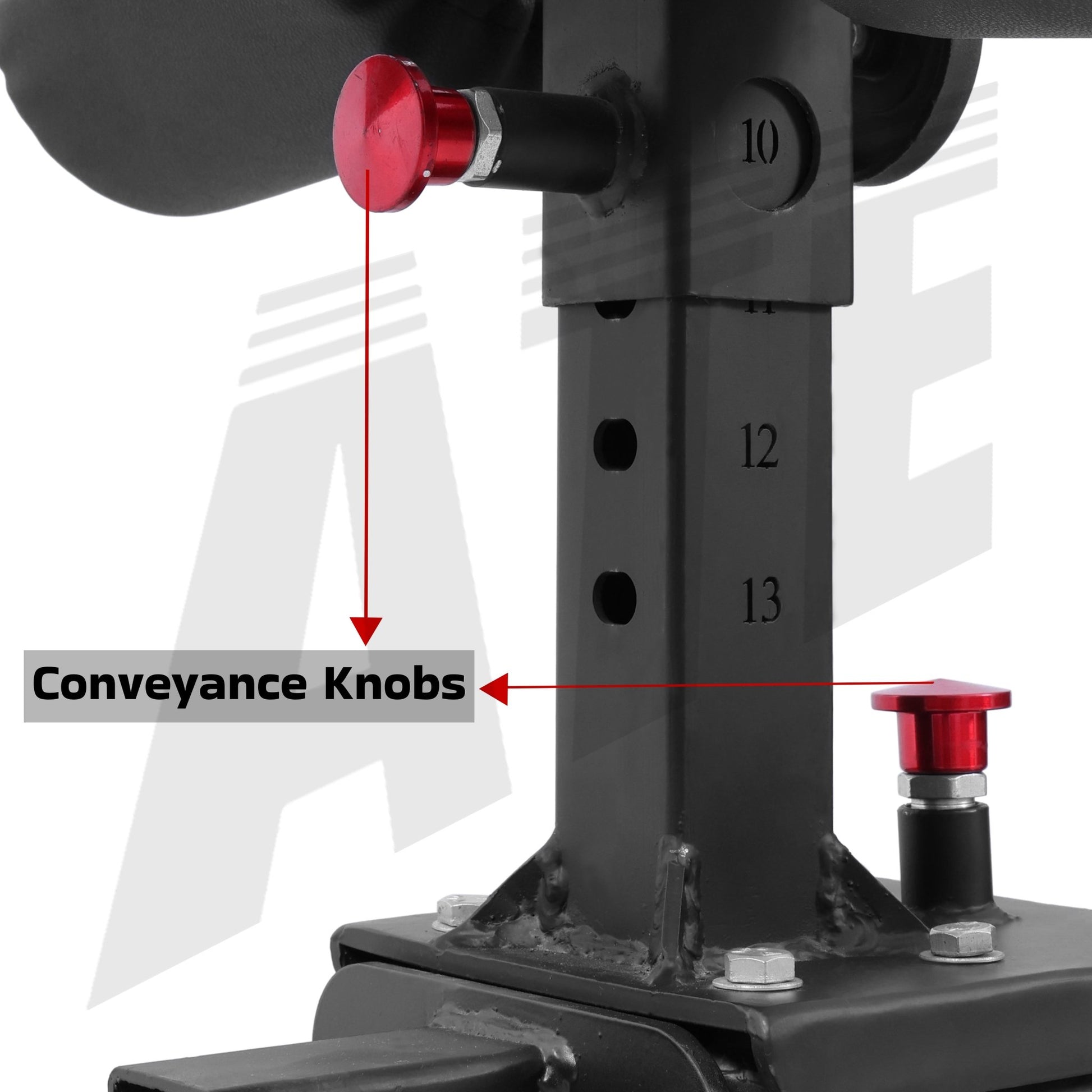 GHD (Glute Ham Developer) - ATEONLINESHOP