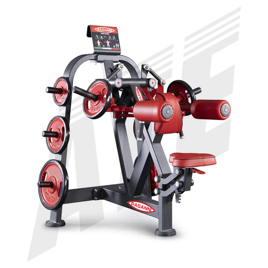 Lateral Deltoids - ATEONLINESHOP