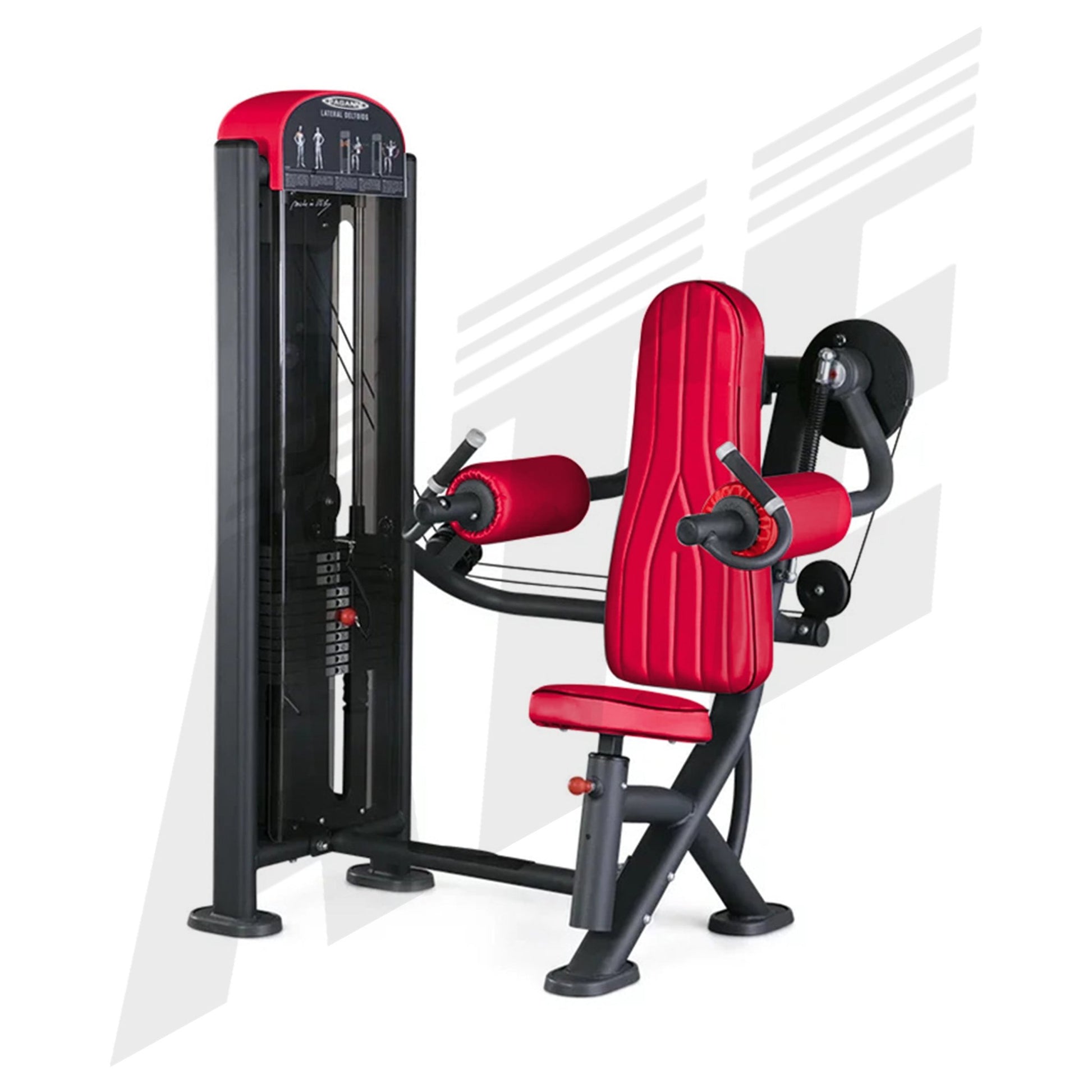 Lateral Deltoids - ATEONLINESHOP