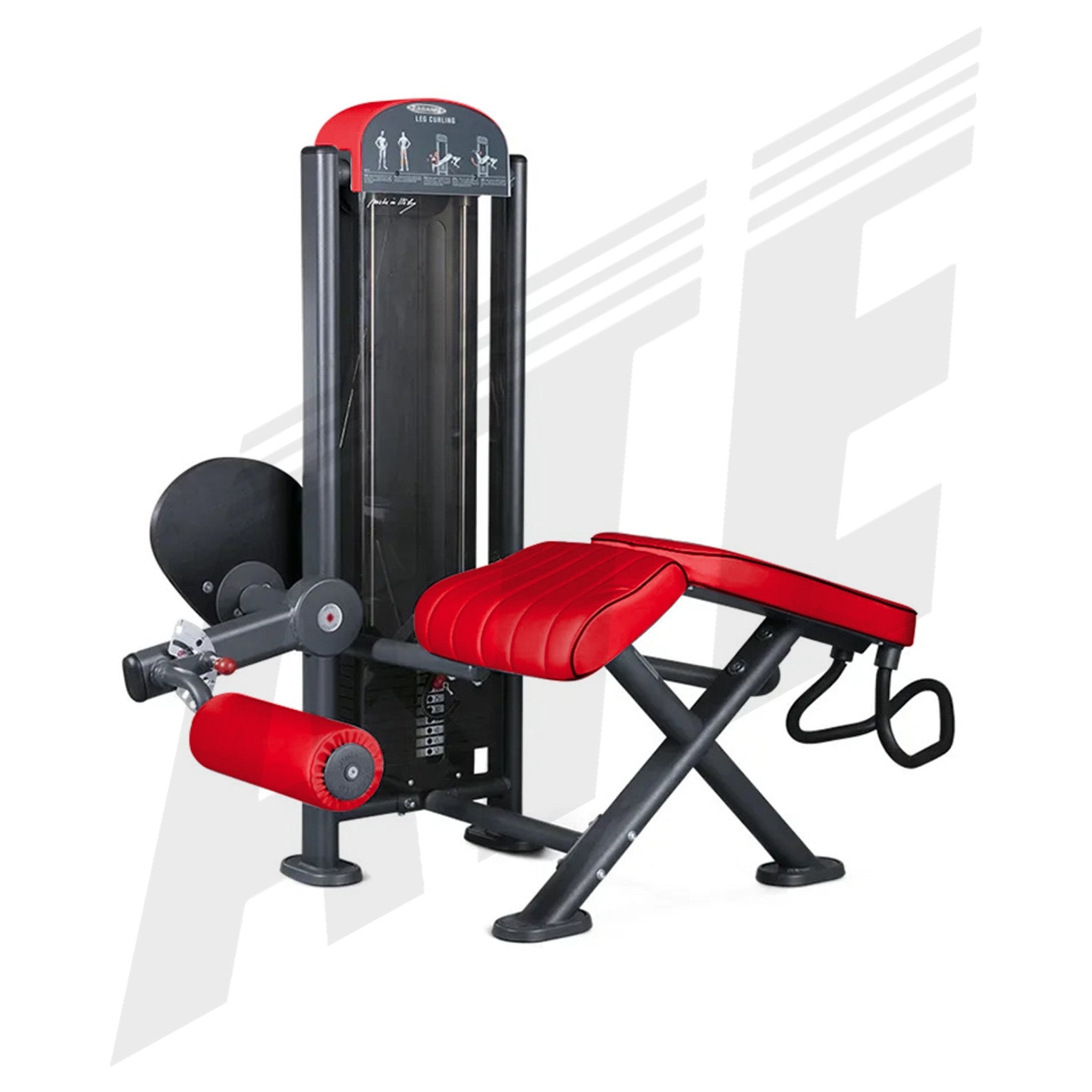 Leg Curling - Pin Loaded Strength Machines – ATEONLINESHOP