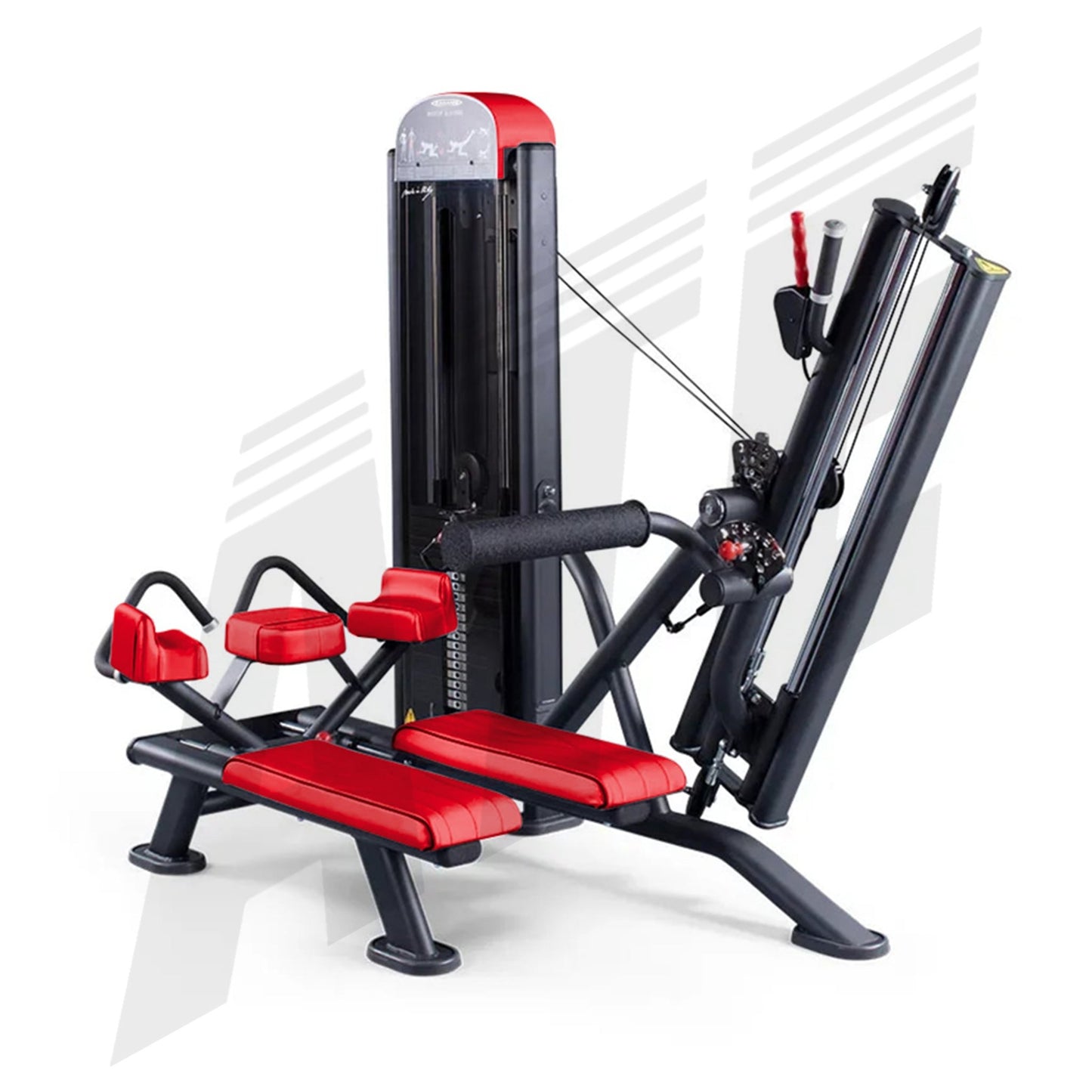 Master Gluteus Plus - ATEONLINESHOP